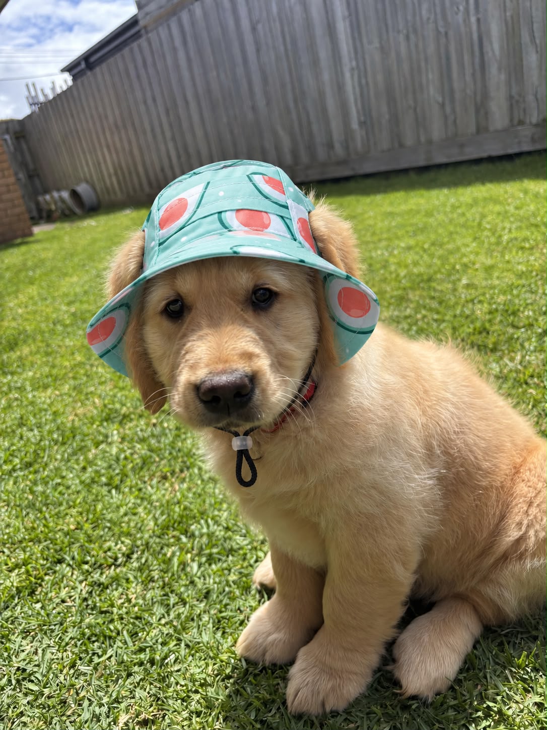 The Happy Camper | Dog Bucket Hat