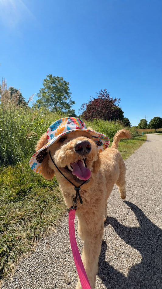 The Happy Camper | Dog Bucket Hat