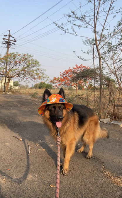 The Happy Camper | Dog Bucket Hat